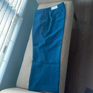 Brand new Ann taylor pants